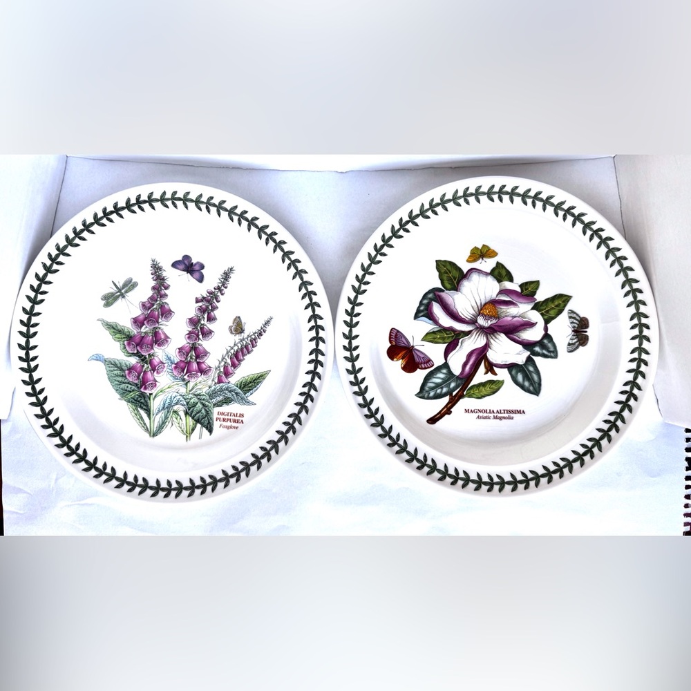 PORTMEIRION Botanic Garden Dinner Plates Set of 2 Lots of crazing